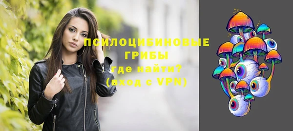 стаф Саяногорск